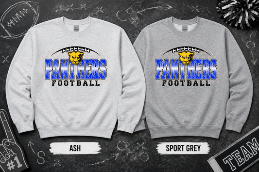 Panthers Football ADULT - Tshirt or Sweatshirt