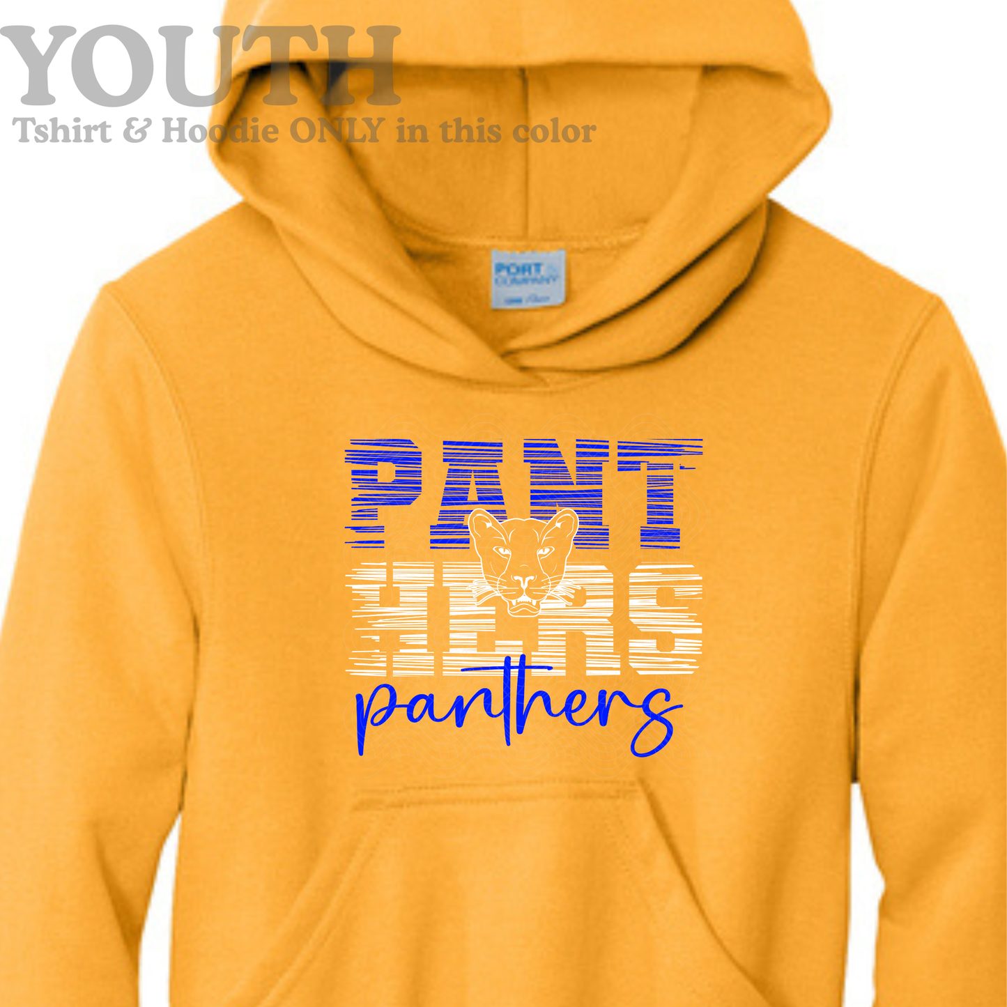 Panthers static on gold YOUTH