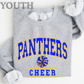 Panthers Cheer YOUTH