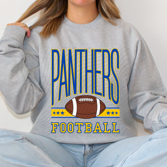 Panthers Football YOUTH NO DISTRESS - 2 shirt options