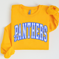 Panthers Stripe Mascot YOUTH - Tshirt or Sweatshirt