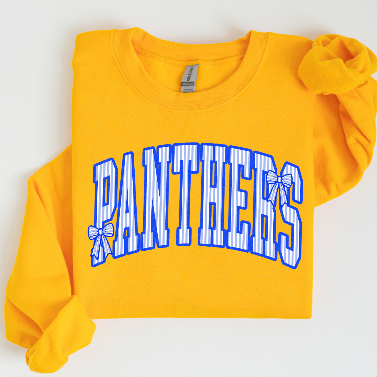 Panthers Stripe Mascot YOUTH - Tshirt or Sweatshirt