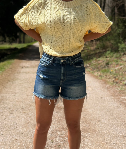 Frayed Hem Ripped Dark Wash Denim Shorts