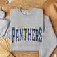 PANTHERS VARSITY DISTRESSED YOUTH - YOU CHOOSE COLOR