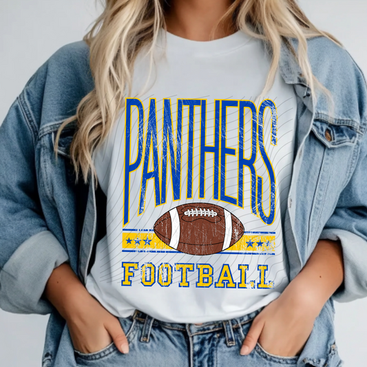 Panthers Football YOUTH Distressed design - 2 shirt options