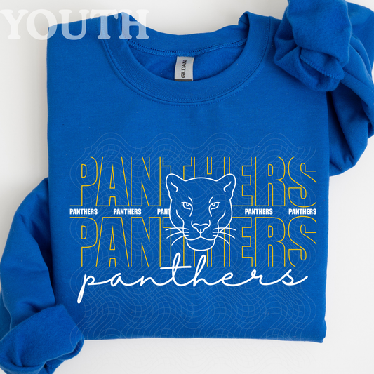 Panthers head on blue YOUTH