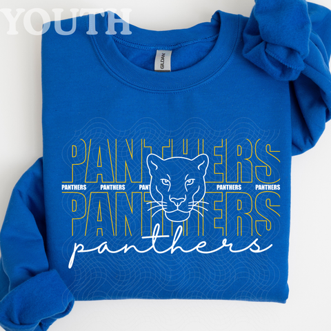 Panthers head on blue YOUTH