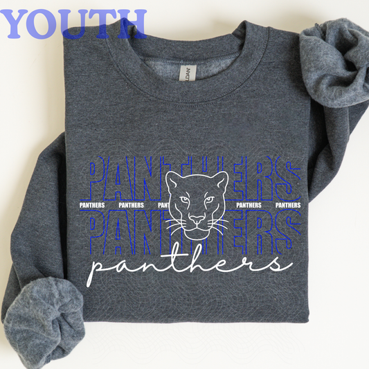 Panthers head on charcoal YOUTH