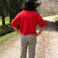 SHORT SLEEVE CREW NECK BOXY SWEATER TOP: Red
