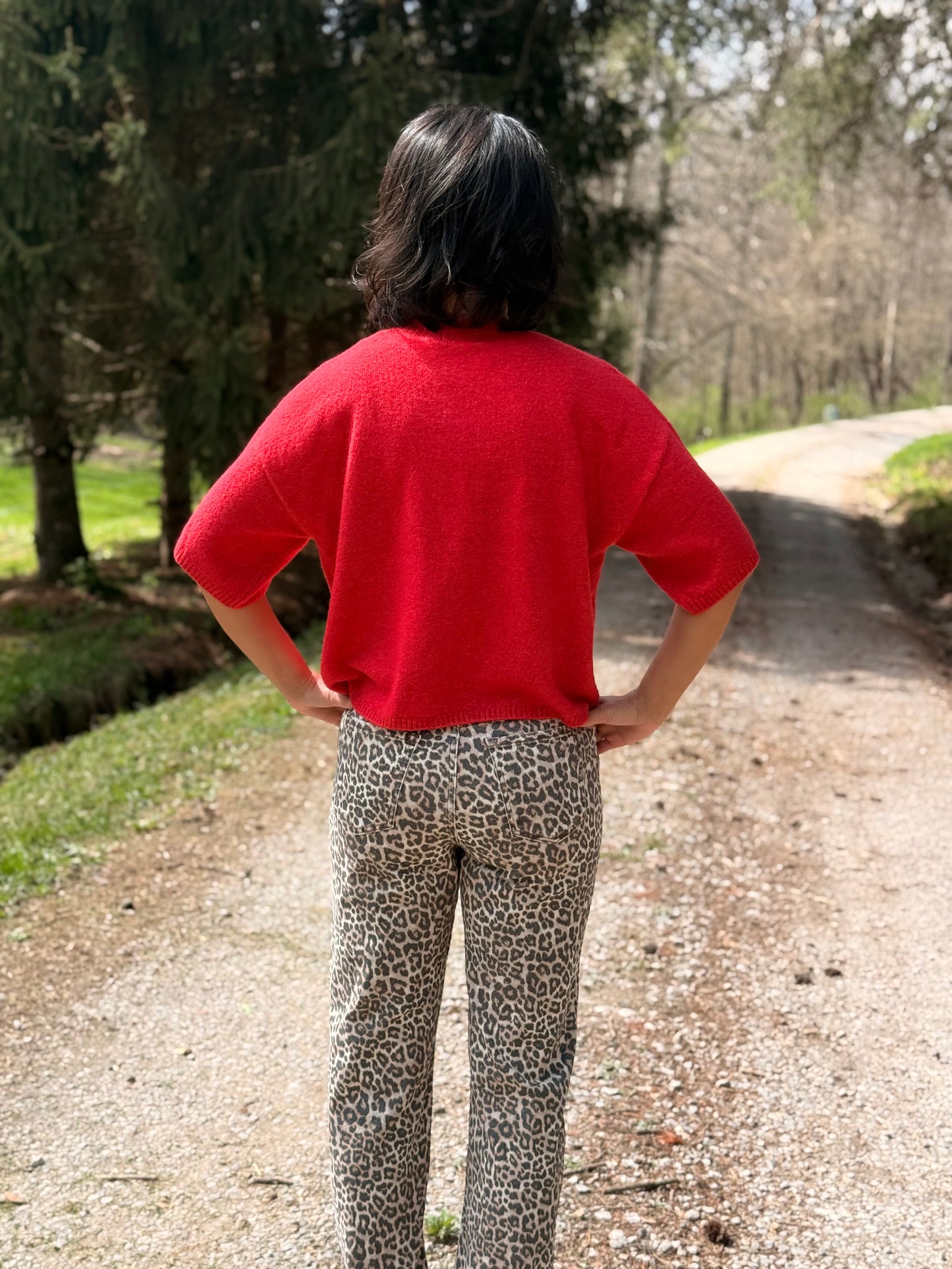 SHORT SLEEVE CREW NECK BOXY SWEATER TOP: Red