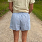 Checker Boxer Shorts: BLUE STRIPE
