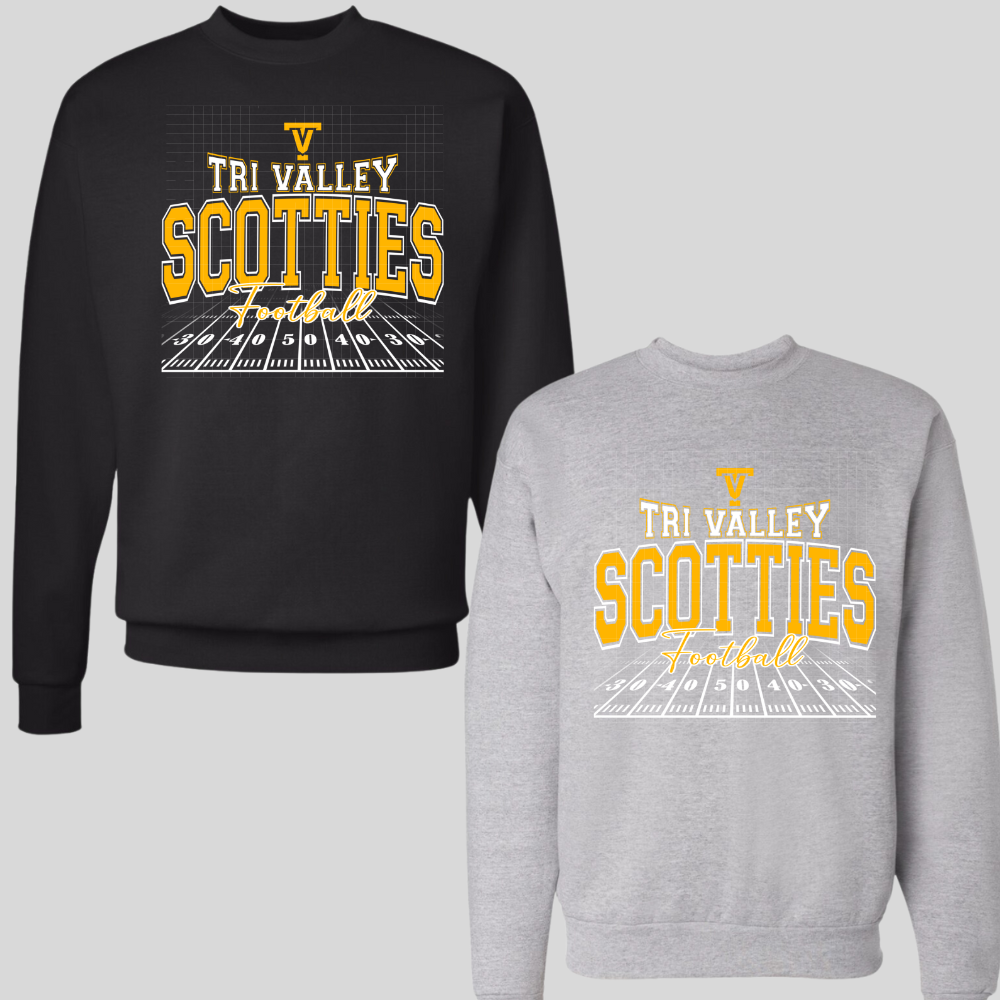 Pre-Order ADULT TV Field Logo - CREWNECK